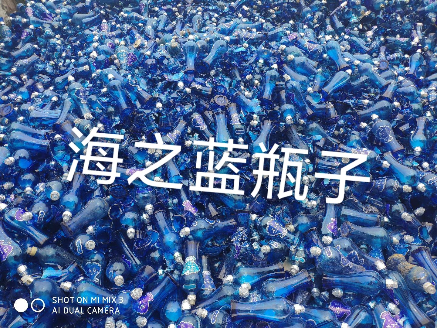 镇江海之蓝瓶回收